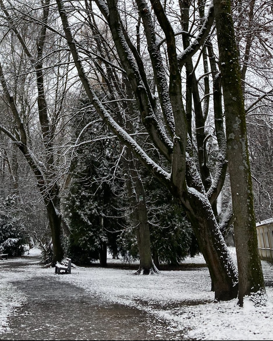 Zimowo! #zima #park #podlasie #bialystok #jestpieknie #nofilter #spacer #bialo